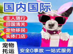 北海航空货运国际宠物托运 【国